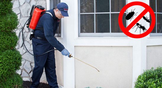 Niksar Akrep İlaçlama böcek ilaçlama ve haşere kontrolü — ilaclama-tr.com